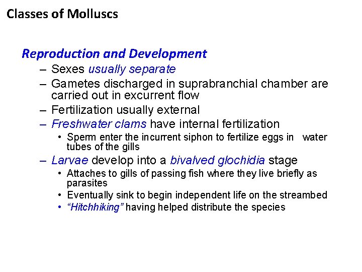 Classes of Molluscs Reproduction and Development – Sexes usually separate – Gametes discharged in