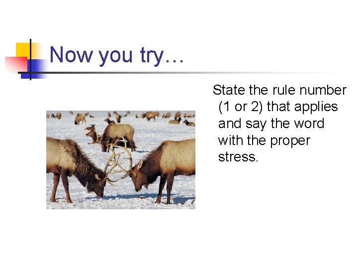Now you try… State the rule number (1 or 2) that applies and say Now you try… State the rule number (1 or 2) that applies and say
