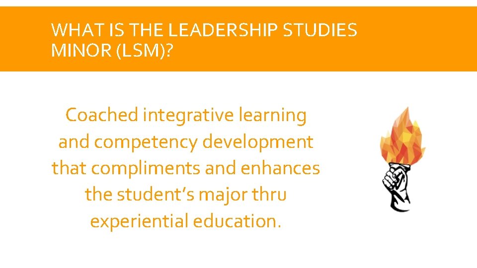 WHAT IS THE LEADERSHIP STUDIES MINOR (LSM)? Coached integrative learning and competency development that