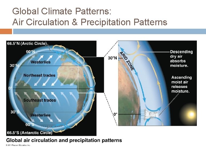 Global Climate Patterns: Air Circulation & Precipitation Patterns 