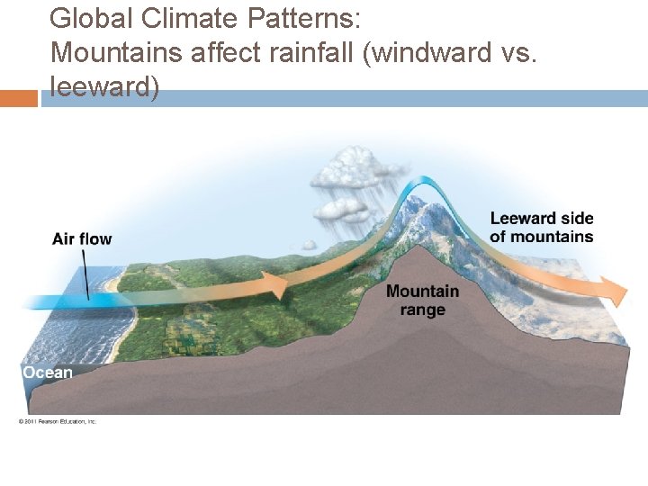 Global Climate Patterns: Mountains affect rainfall (windward vs. leeward) 