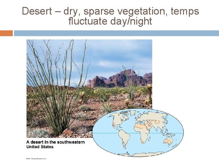 Desert – dry, sparse vegetation, temps fluctuate day/night Desert – dry, sparse vegetation, temps fluctuate day/night