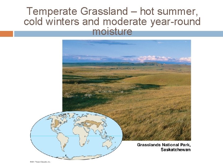 Temperate Grassland – hot summer, cold winters and moderate year-round moisture 
