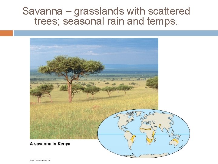 Savanna – grasslands with scattered trees; seasonal rain and temps. 