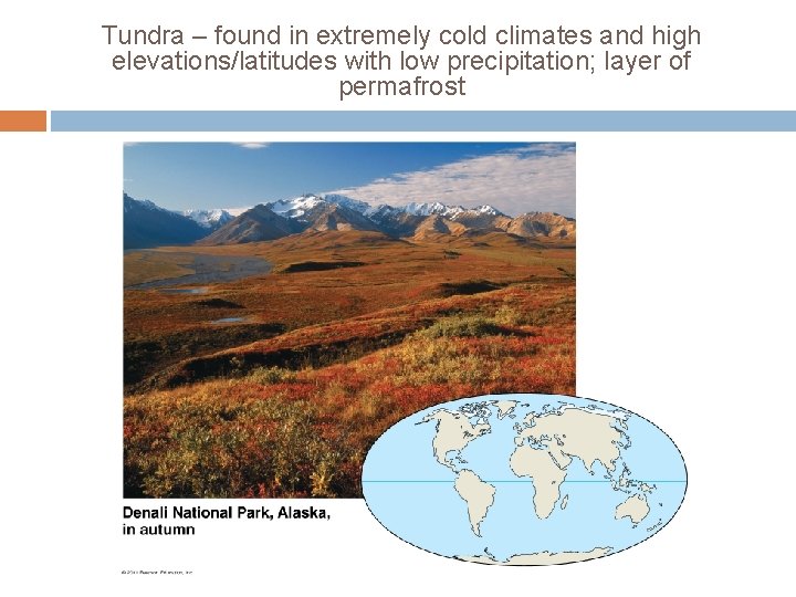 Tundra – found in extremely cold climates and high elevations/latitudes with low precipitation; layer