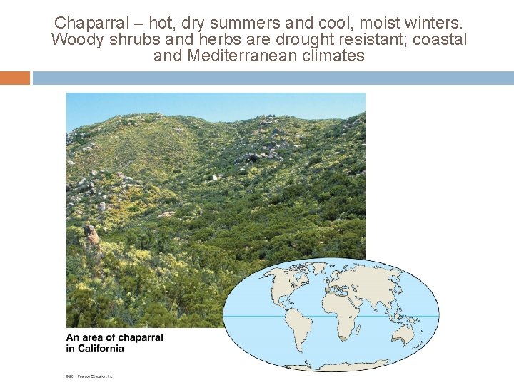 Chaparral – hot, dry summers and cool, moist winters. Woody shrubs and herbs are