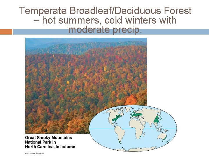 Temperate Broadleaf/Deciduous Forest – hot summers, cold winters with moderate precip. 