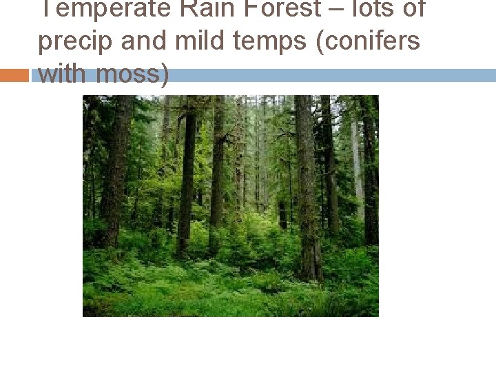 Temperate Rain Forest – lots of precip and mild temps (conifers with moss) 