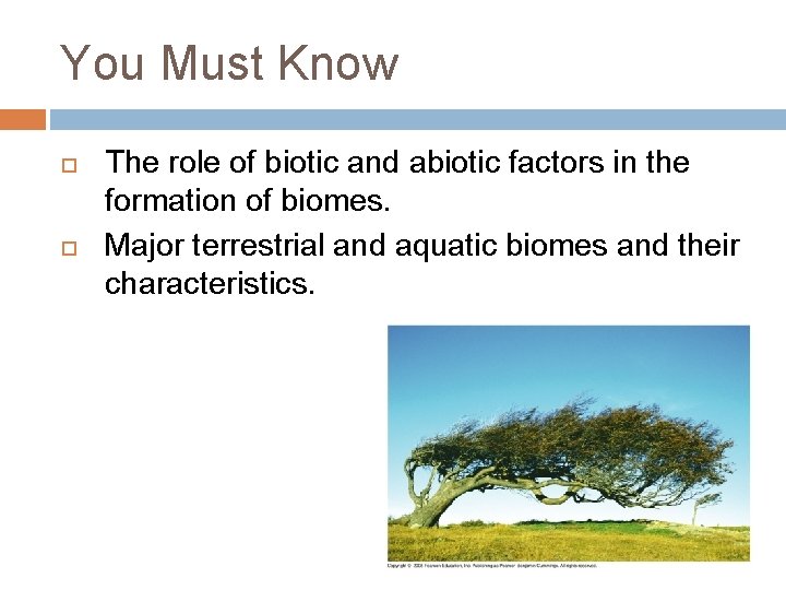 You Must Know The role of biotic and abiotic factors in the formation of
