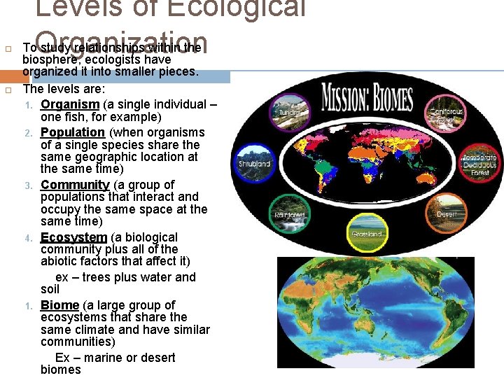  Levels of Ecological To. Organization study relationships within the biosphere, ecologists have organized