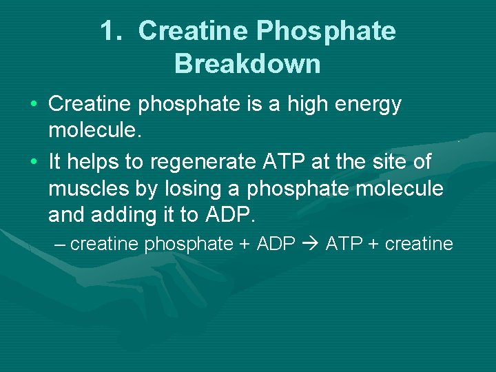 1. Creatine Phosphate Breakdown • Creatine phosphate is a high energy molecule. • It