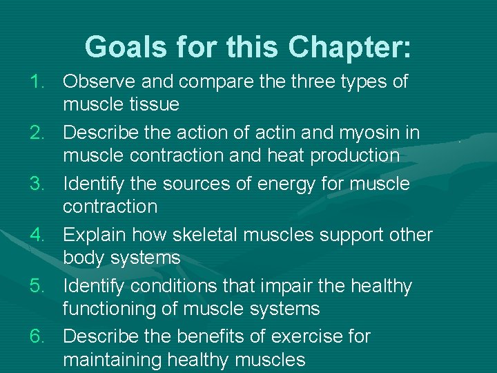 Goals for this Chapter: 1. Observe and compare three types of muscle tissue 2.
