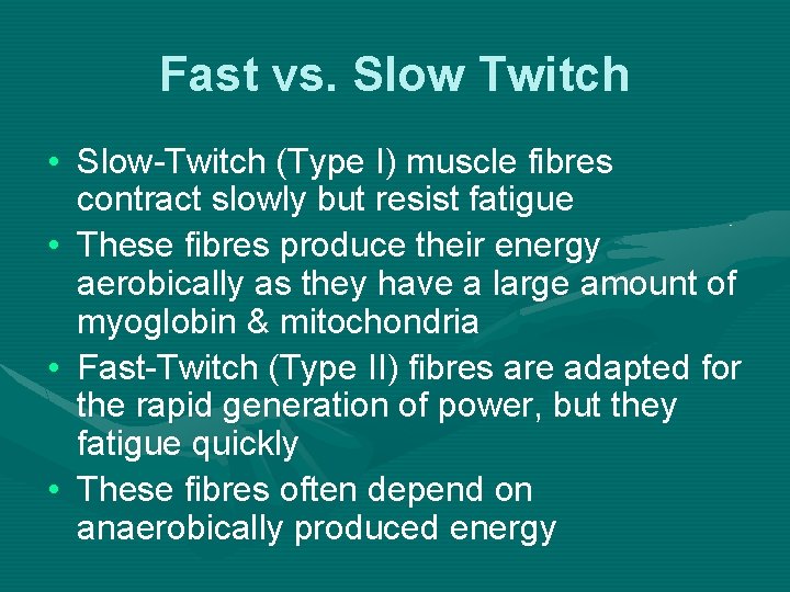 Fast vs. Slow Twitch • Slow-Twitch (Type I) muscle fibres contract slowly but resist