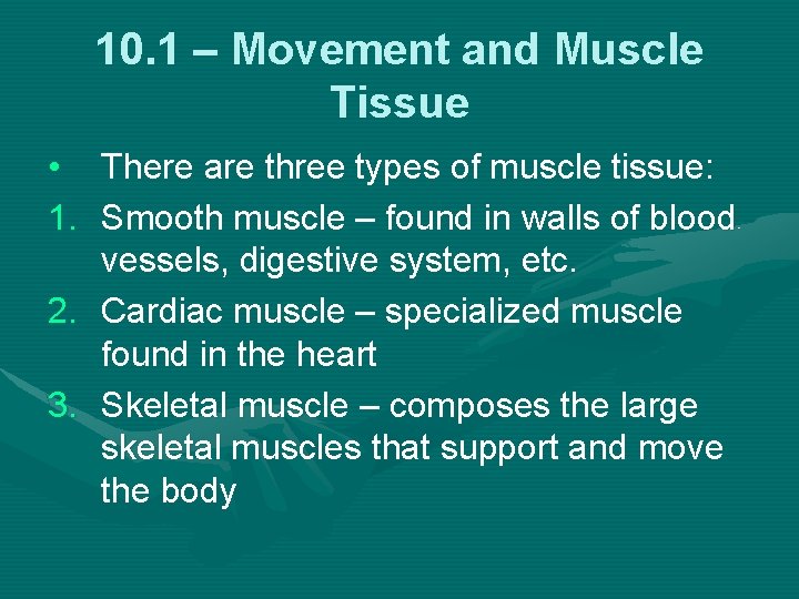 10. 1 – Movement and Muscle Tissue • There are three types of muscle
