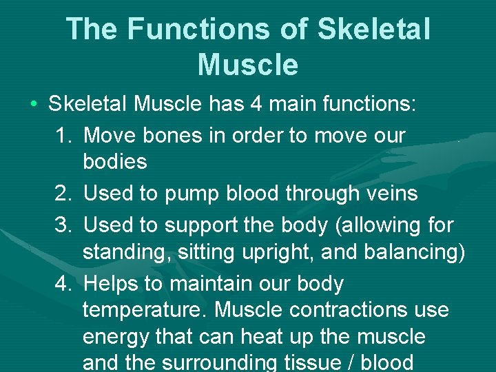 The Functions of Skeletal Muscle • Skeletal Muscle has 4 main functions: 1. Move