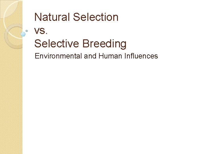 Natural Selection vs. Selective Breeding Environmental and Human Influences 