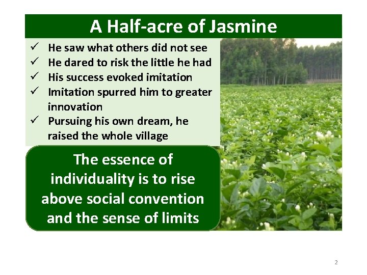 A Half-acre of Jasmine He saw what others did not see He dared to