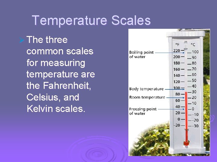 Temperature, Thermal Energy and Heat Temperature Scales Ø The three common scales for measuring