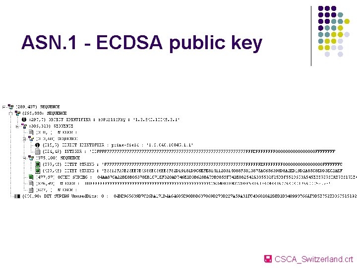 ASN. 1 - ECDSA public key CSCA_Switzerland. crt 