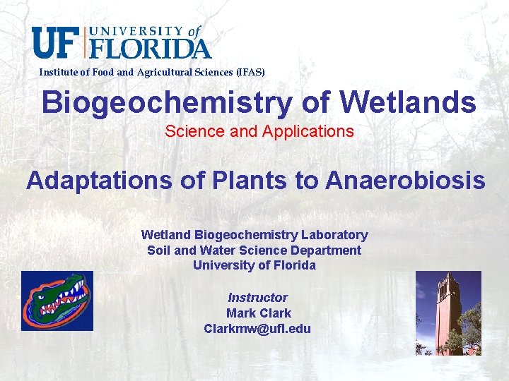 Institute of Food and Agricultural Sciences (IFAS) Biogeochemistry of Wetlands Science and Applications Adaptations