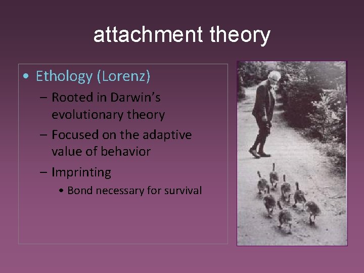 attachment theory • Ethology (Lorenz) – Rooted in Darwin’s evolutionary theory – Focused on