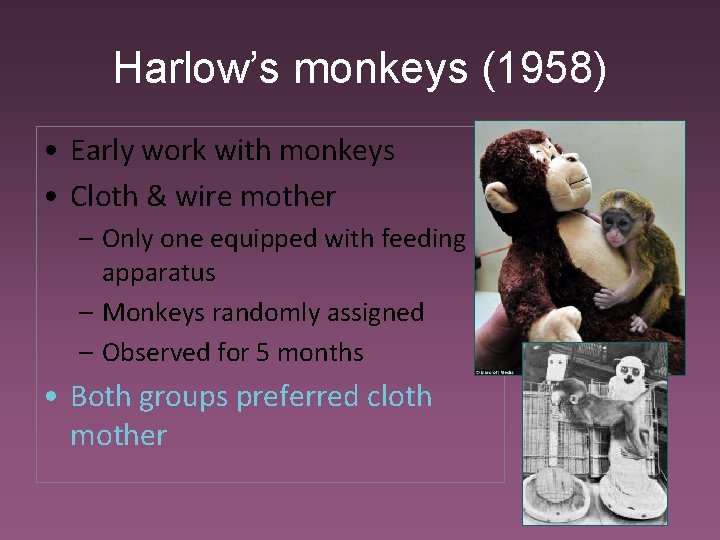 Harlow’s monkeys (1958) • Early work with monkeys • Cloth & wire mother –