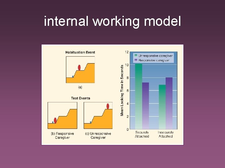 internal working model 