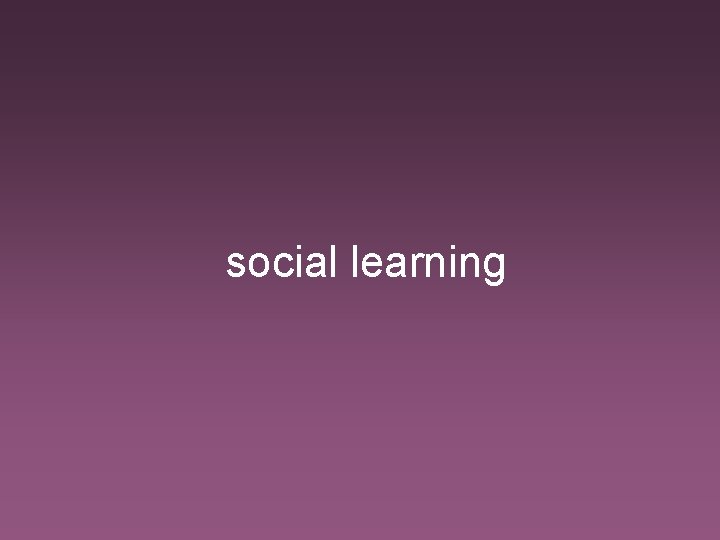social learning 