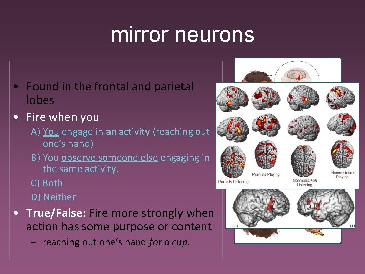 mirror neurons • Found in the frontal and parietal lobes • Fire when you