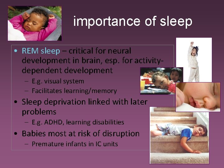 importance of sleep • REM sleep – critical for neural development in brain, esp.