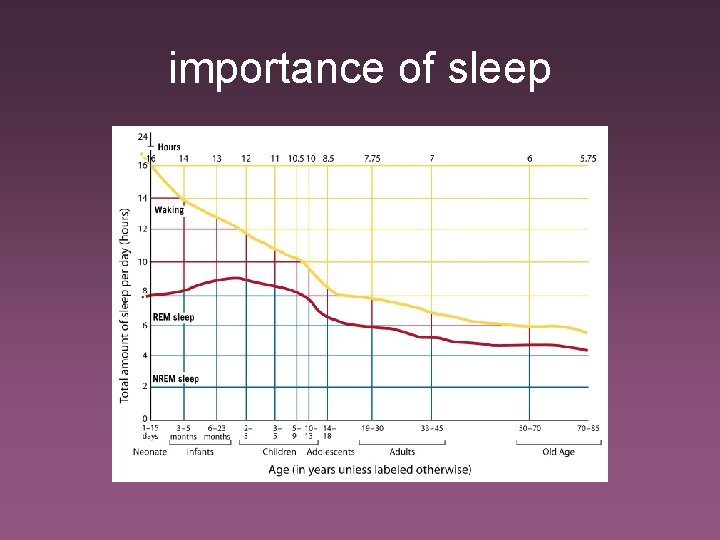 importance of sleep 