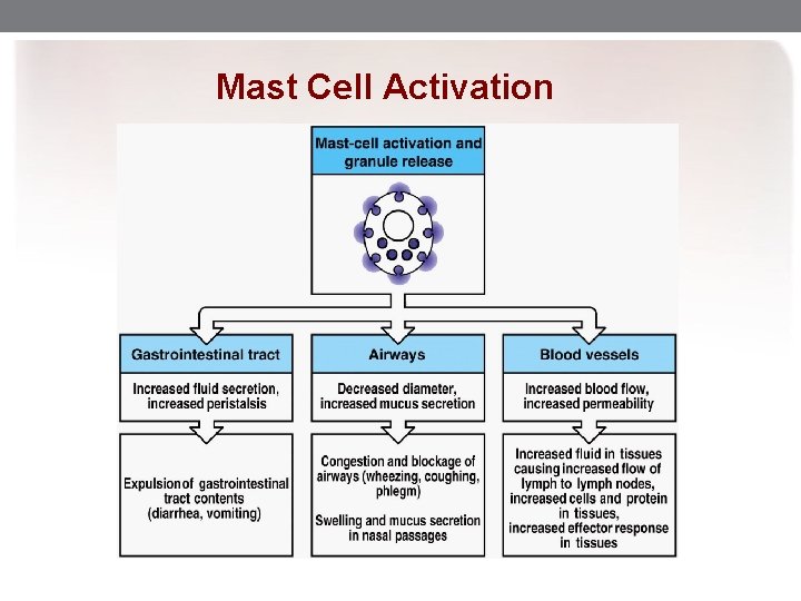 Mast Cell Activation 