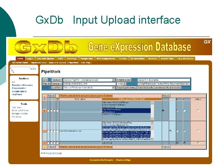 Gx. Db Input Upload interface 