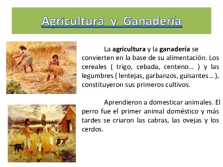 Agricultura y Ganadería La agricultura y la ganadería se convierten en la base de