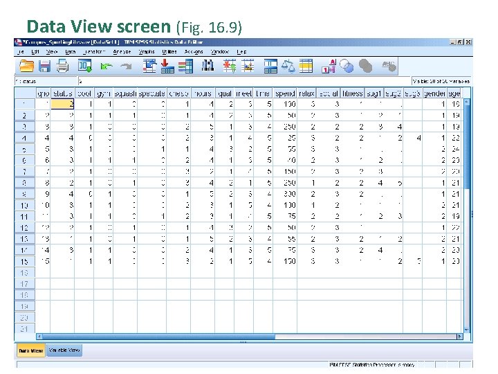 Data View screen (Fig. 16. 9) 