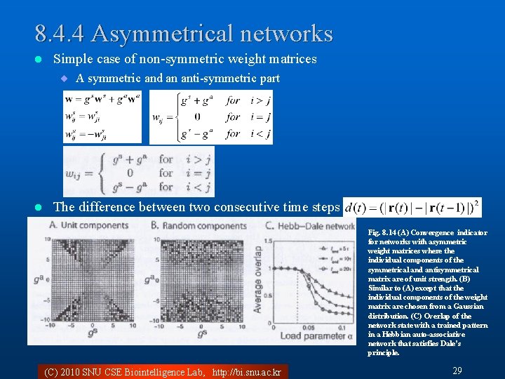 8. 4. 4 Asymmetrical networks l Simple case of non-symmetric weight matrices ¨ A