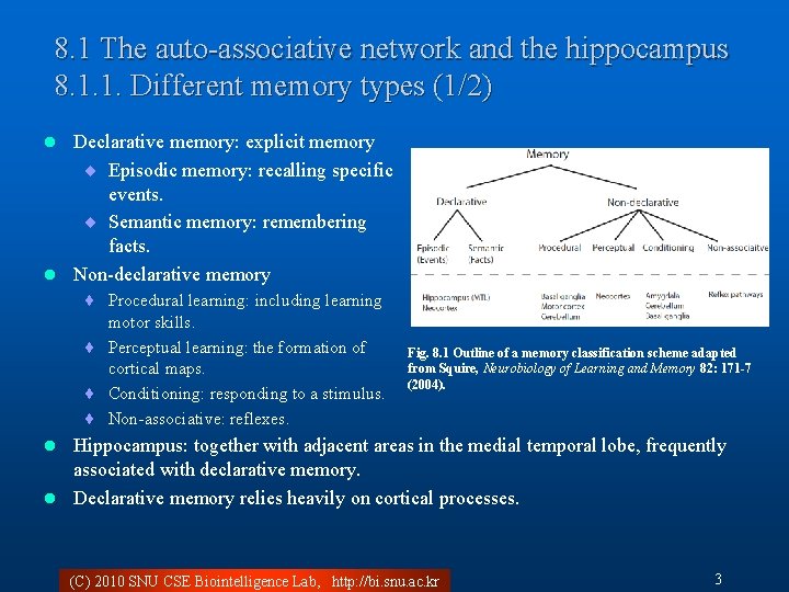 8. 1 The auto-associative network and the hippocampus 8. 1. 1. Different memory types