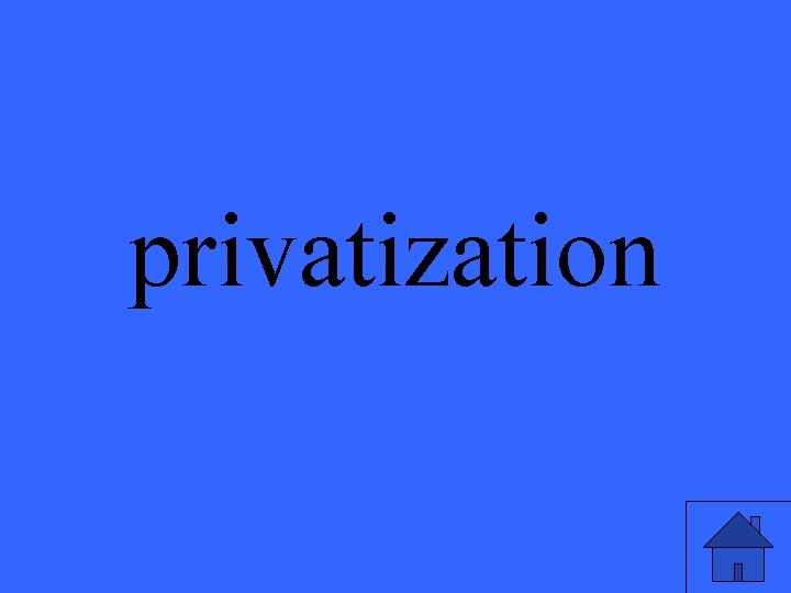 privatization 