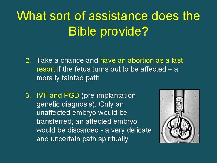 What sort of assistance does the Bible provide? 2. Take a chance and have