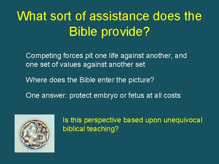 What sort of assistance does the Bible provide? Competing forces pit one life against