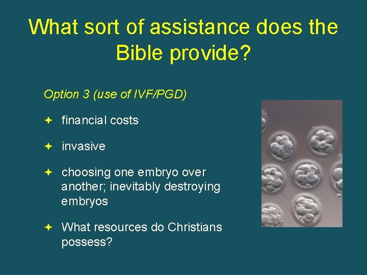 What sort of assistance does the Bible provide? Option 3 (use of IVF/PGD) financial