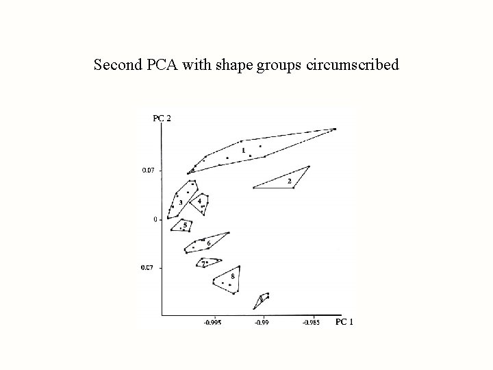 Second PCA with shape groups circumscribed 
