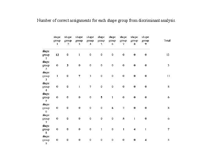 Number of correct assignments for each shape group from discriminant analysis. 