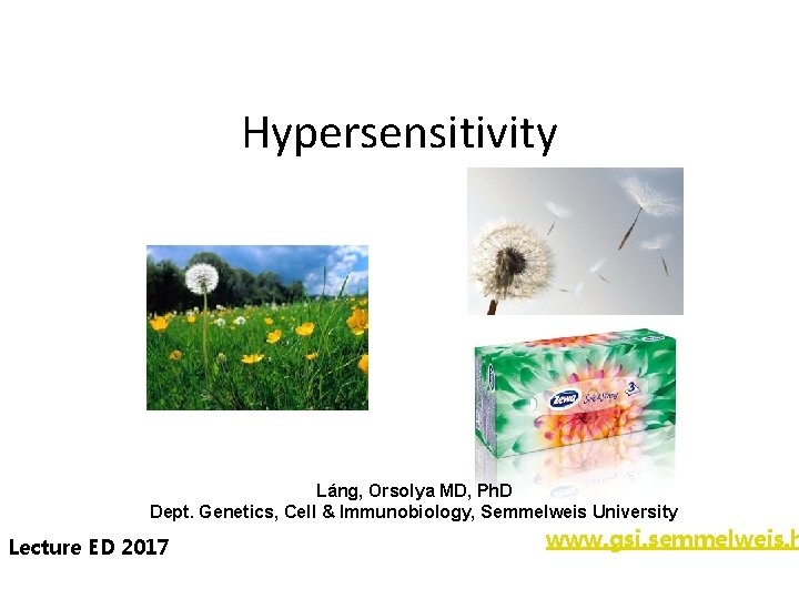 Hypersensitivity Láng, Orsolya MD, Ph. D Dept. Genetics, Cell & Immunobiology, Semmelweis University Lecture