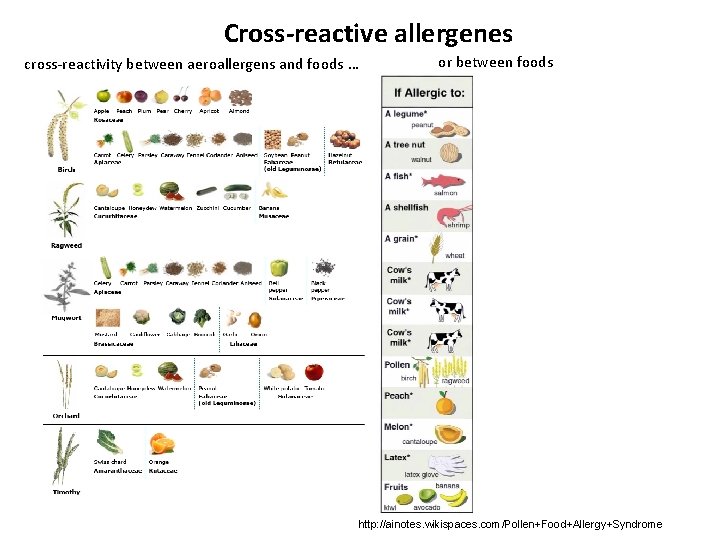 Cross-reactive allergenes cross-reactivity between aeroallergens and foods … or between foods cross-reactivity between aeroallergens