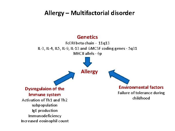 Allergy – Multifactorial disorder Genetics FcƐRI beta chain - 11 q 13 IL-3, IL-4,