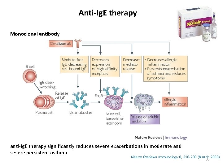 Anti-Ig. E therapy Monoclonal antibody anti-Ig. E therapy significantly reduces severe exacerbations in moderate