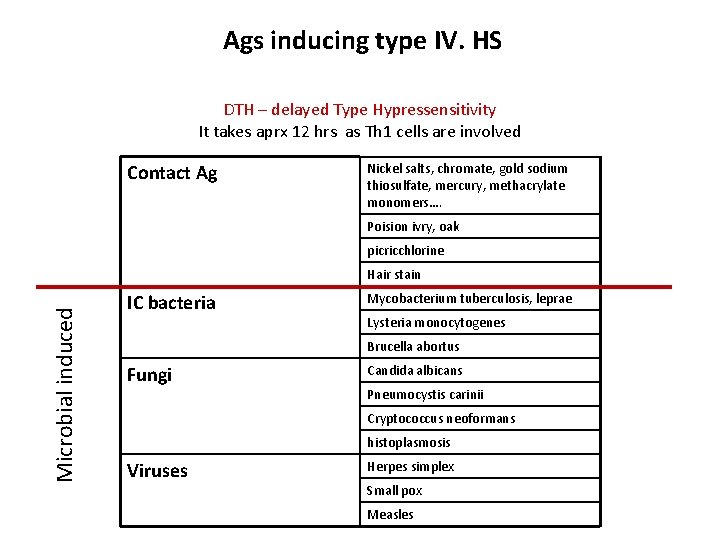 Ags inducing type IV. HS DTH – delayed Type Hypressensitivity It takes aprx 12