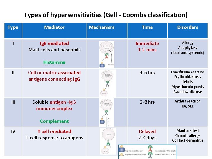 Types of hypersensitivities (Gell - Coombs classification) Type Mediator I Ig. E mediated Mast