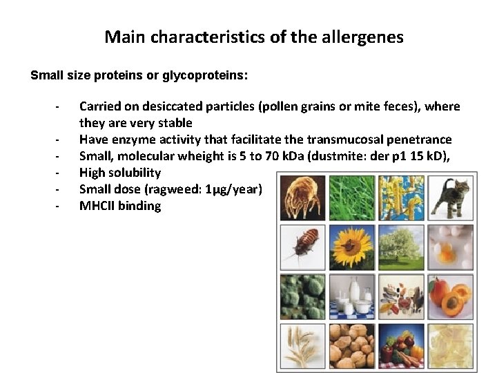 Main characteristics of the allergenes Small size proteins or glycoproteins: - Carried on desiccated